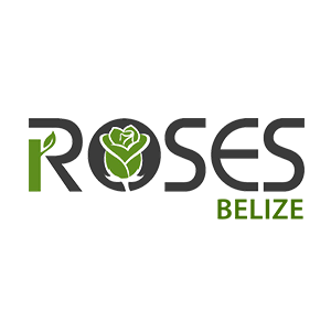 Roses Belize