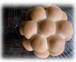 Pan De Coco Grace